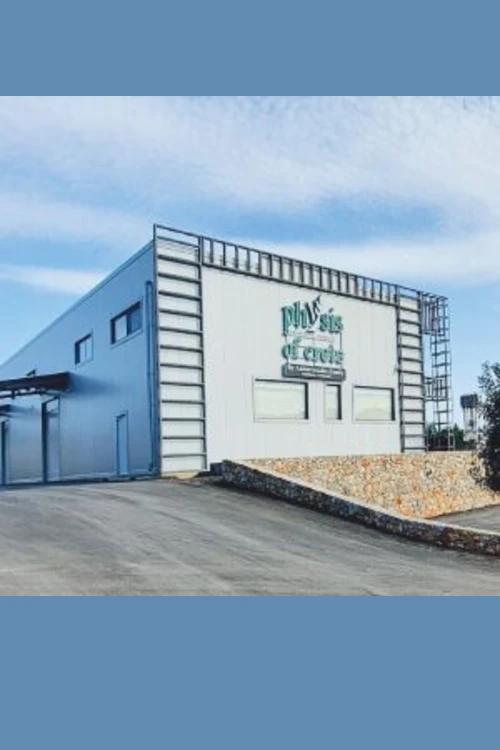 produkcja oliwek kalamata w grecji physis of crete